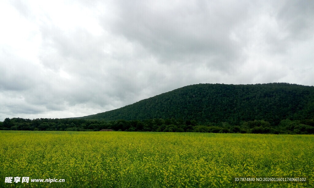 绿野青山间的壮阔风景