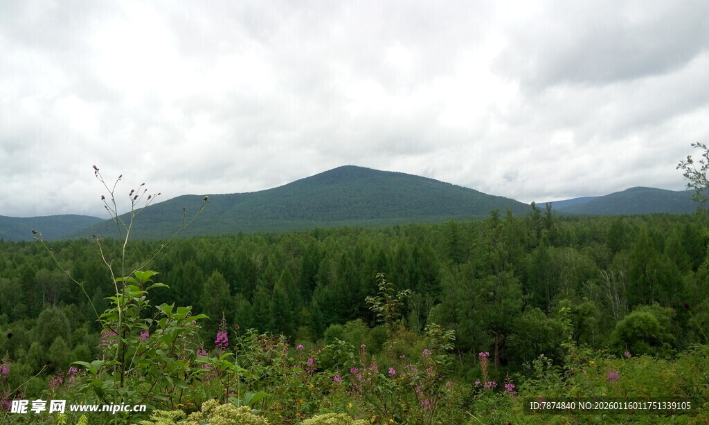 山林绿野间的自然景致