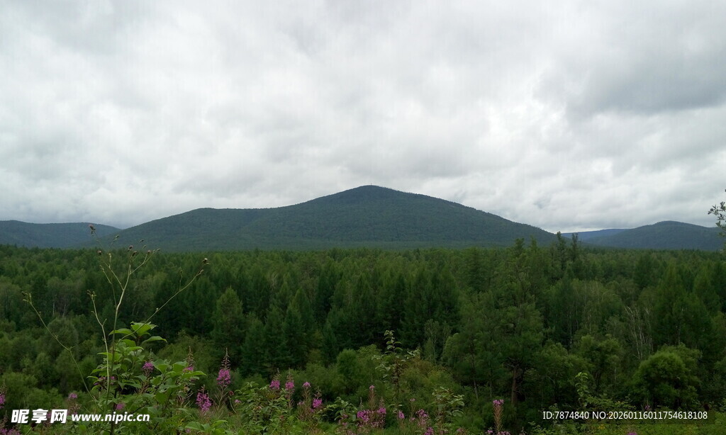 山间绿野 云雾缭绕之景