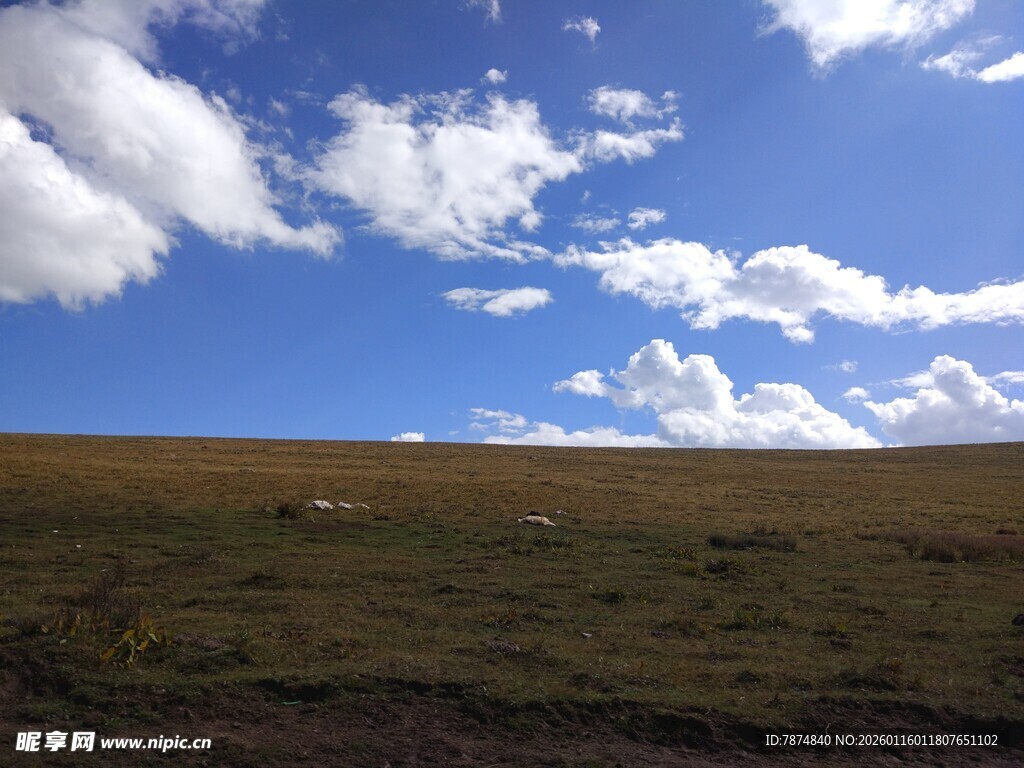 草原蓝天美景