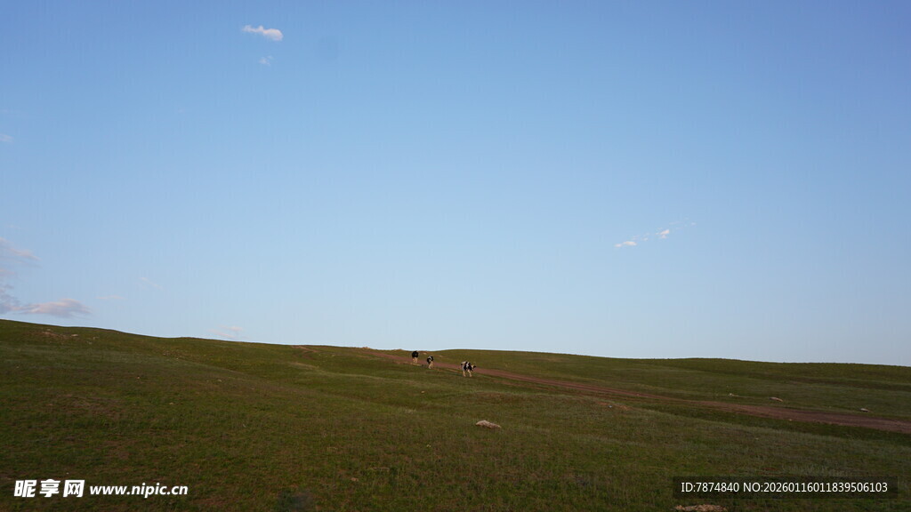 草原蓝天 静谧自然风光