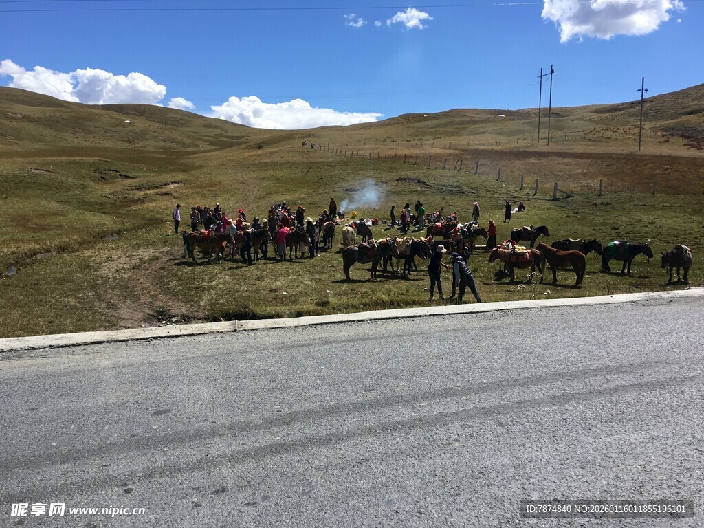 公路旁的马队