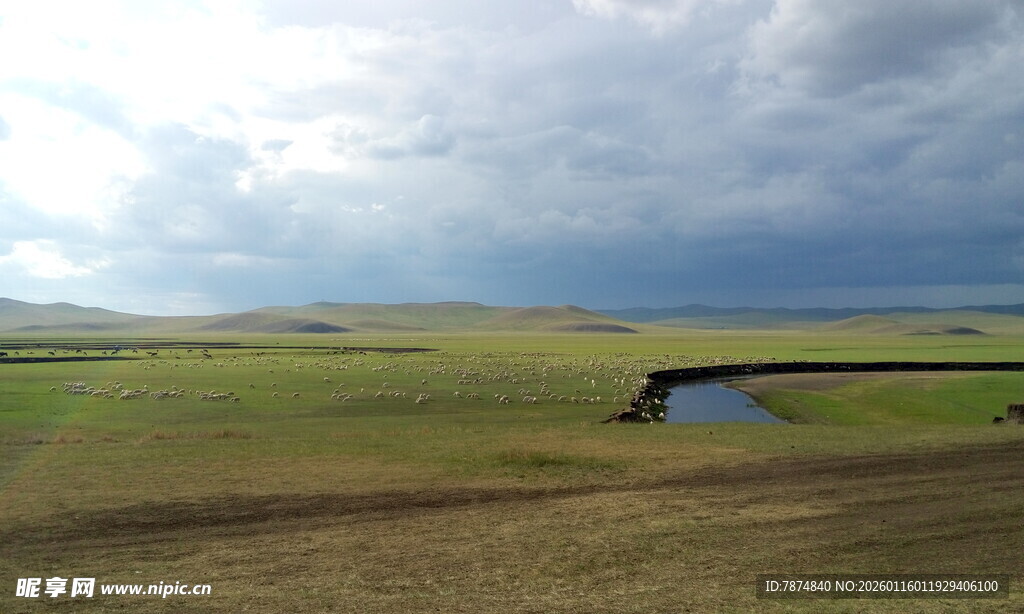 草原风光中的静谧小水洼