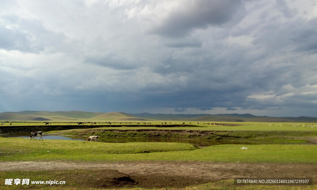 草原上的多云天空景观