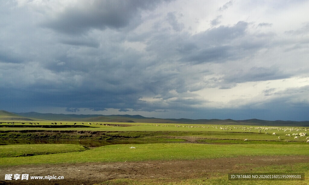草原上空的厚重云层