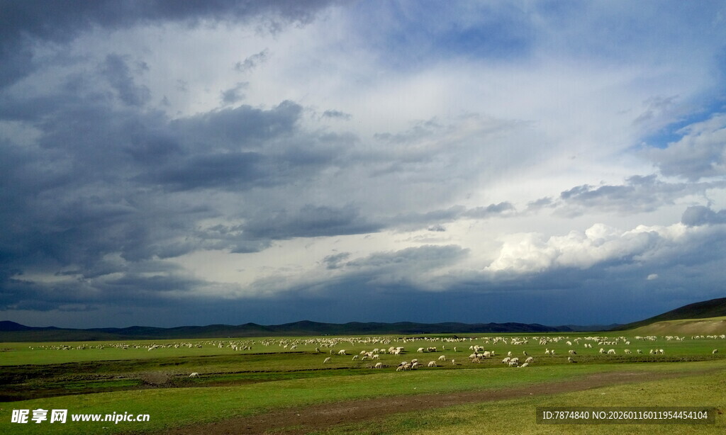 草原上的多云天空景观