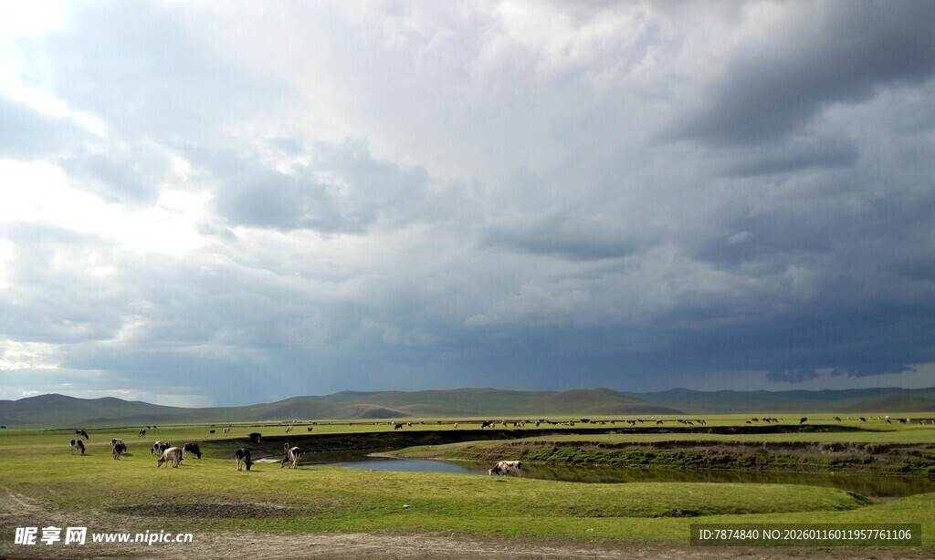 草原上的多云天空景观