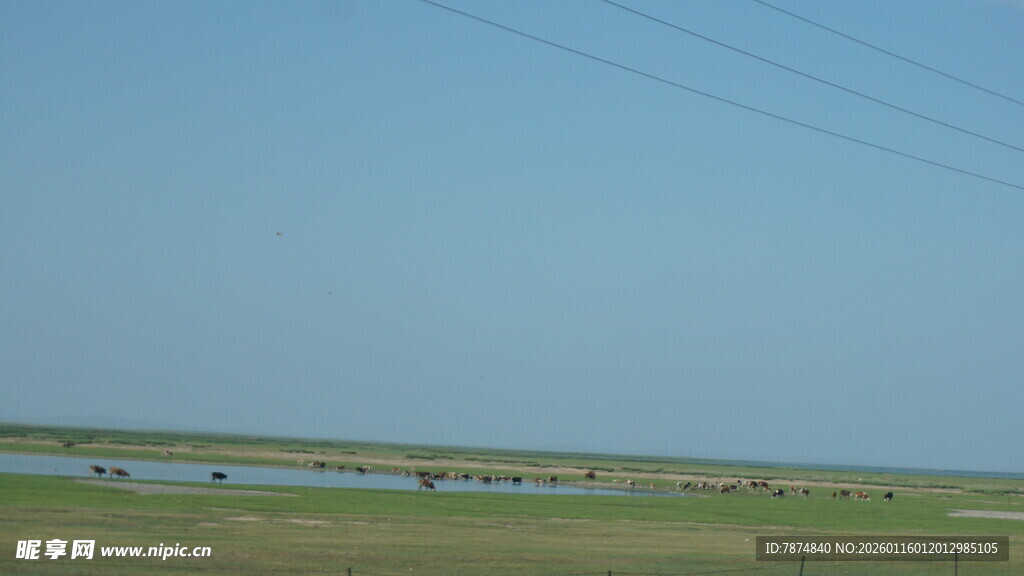 广阔原野上的宁静风光