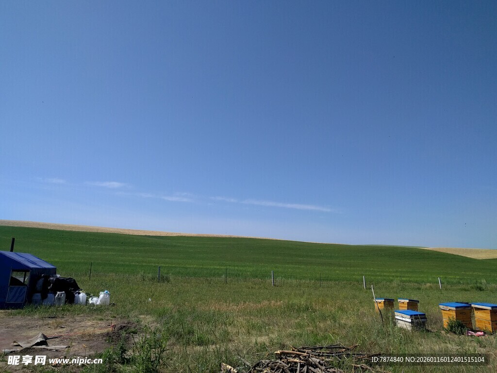 草原上的蓝色车辆与蜂箱