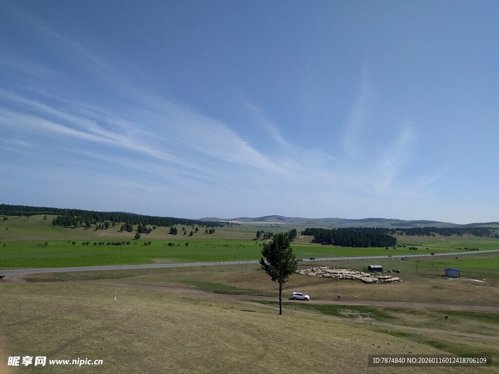 广袤草原上的孤树风景