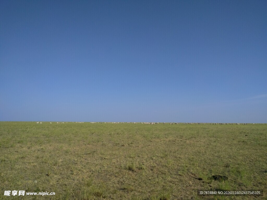 广袤草原 蓝天无垠