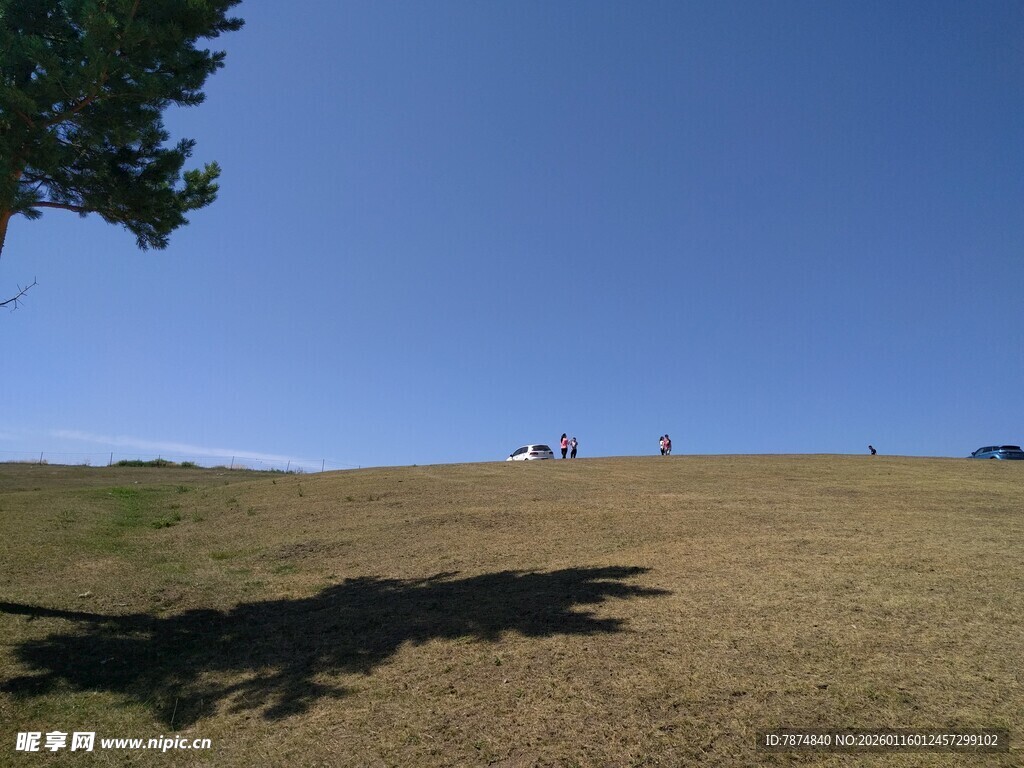 开阔草地蓝天风景图