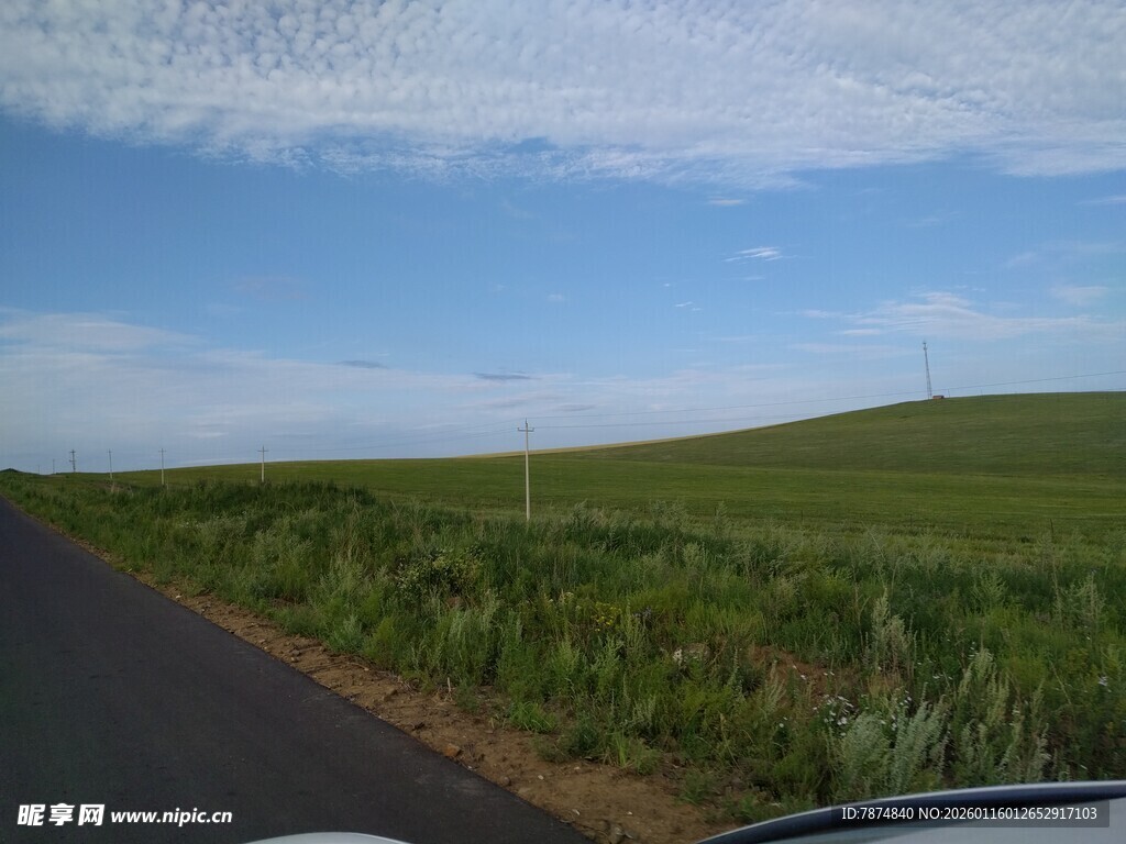 公路旁的绿色田野风光
