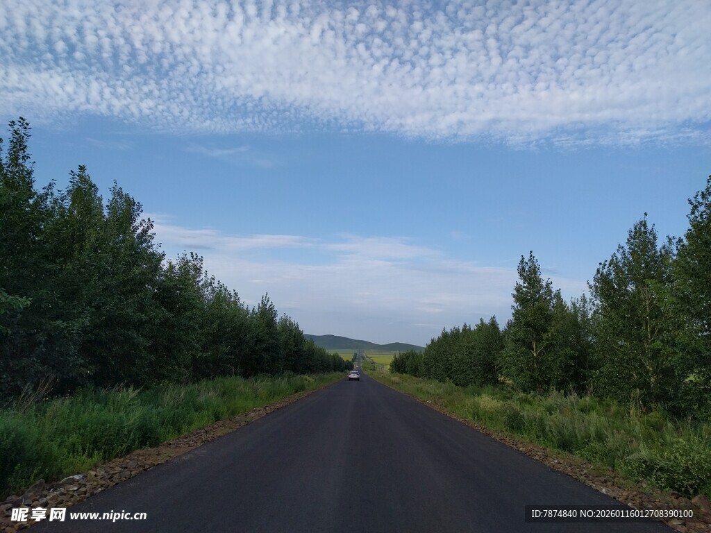 林间公路 蓝天绿树美景