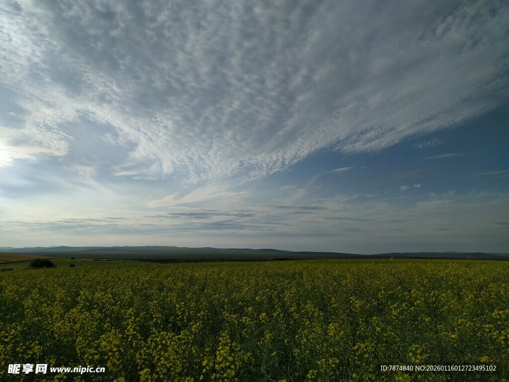 广袤绿野上的蓝天白云