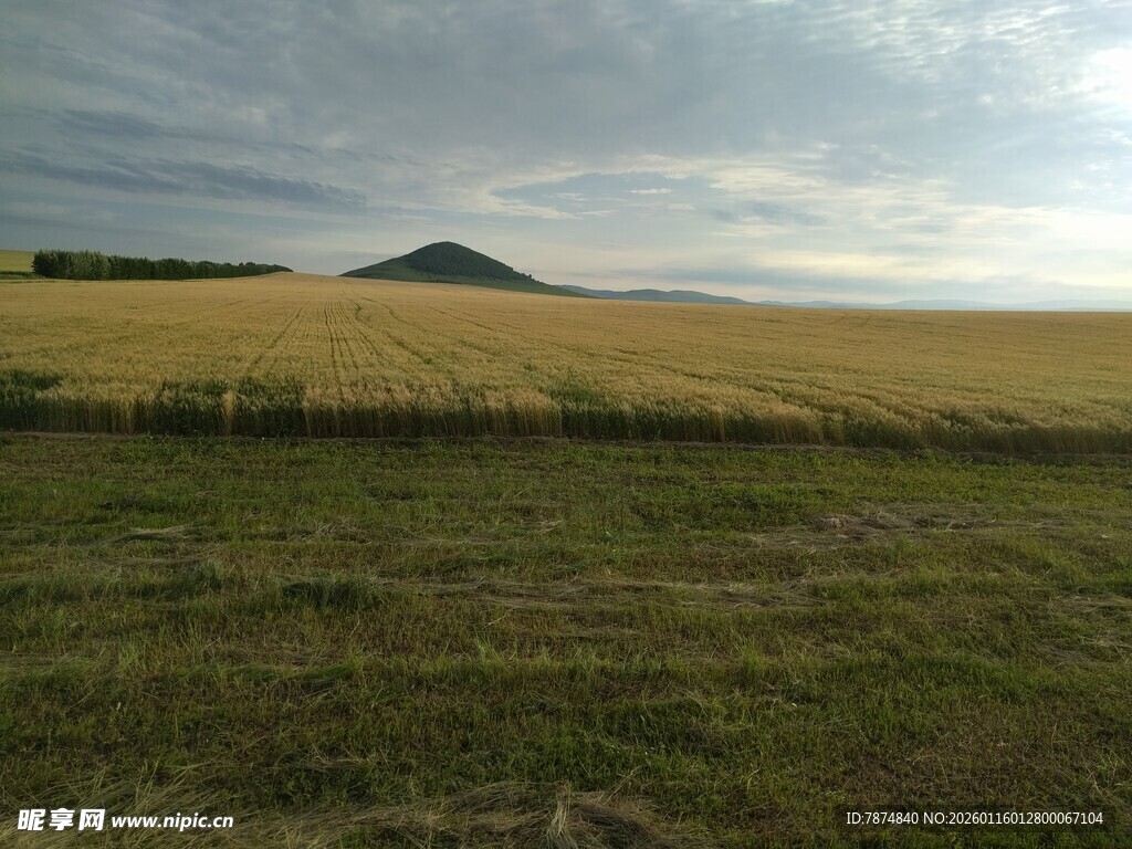 广袤田野与远处山丘