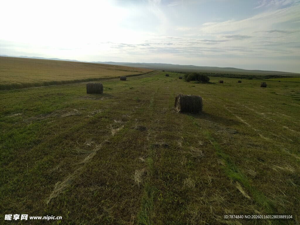 田野中的草垛景观