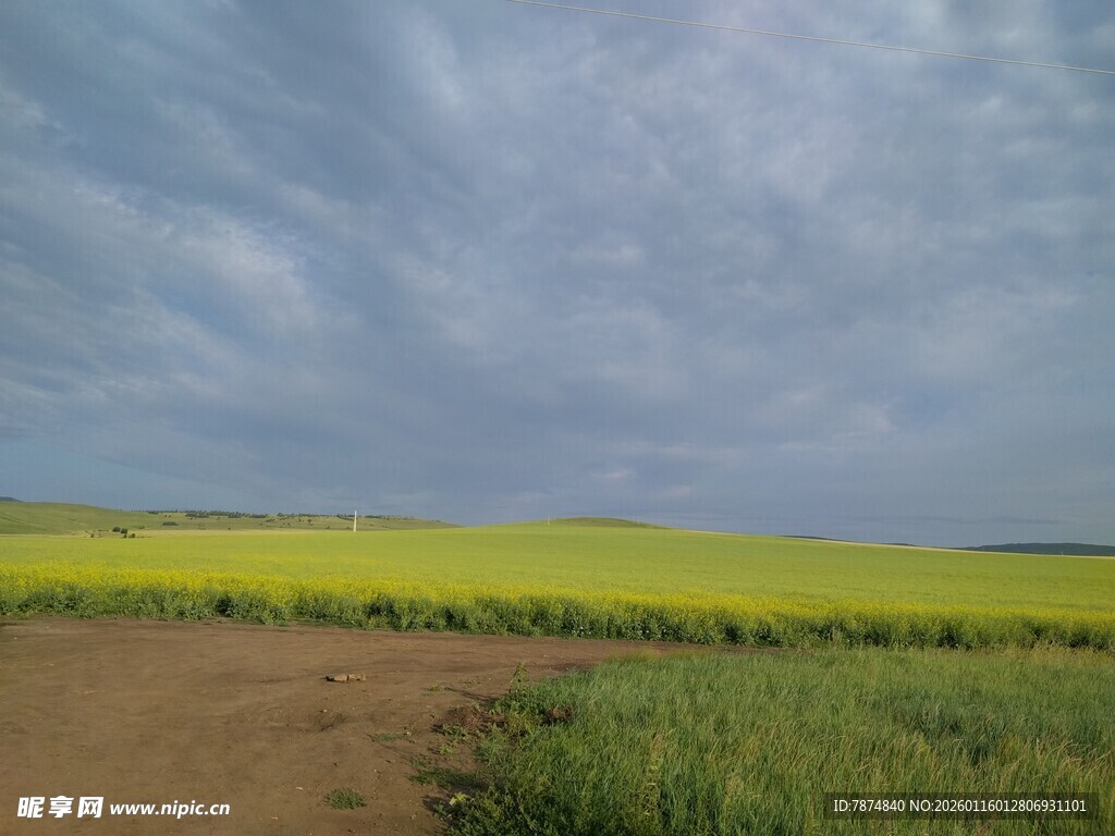田野风光 黄绿相间美景