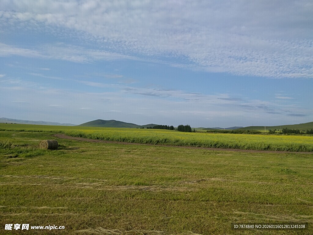 广袤草原风光