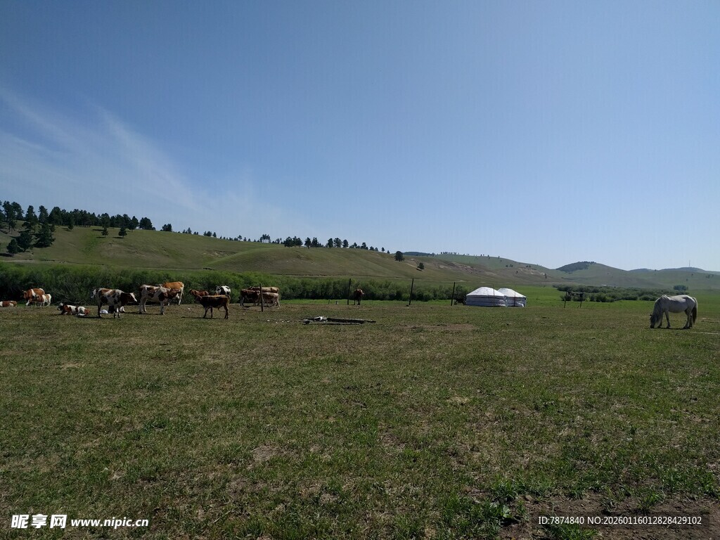 草原牧场景色
