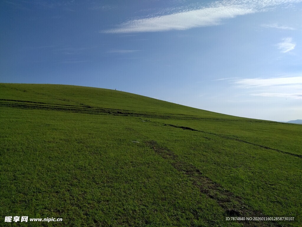 广袤绿原上的蓝天美景