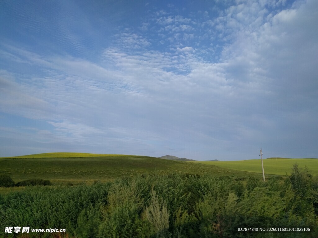 广袤绿野上的蓝天白云