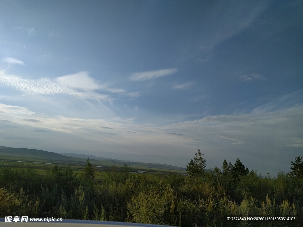 蓝天绿树的自然美景