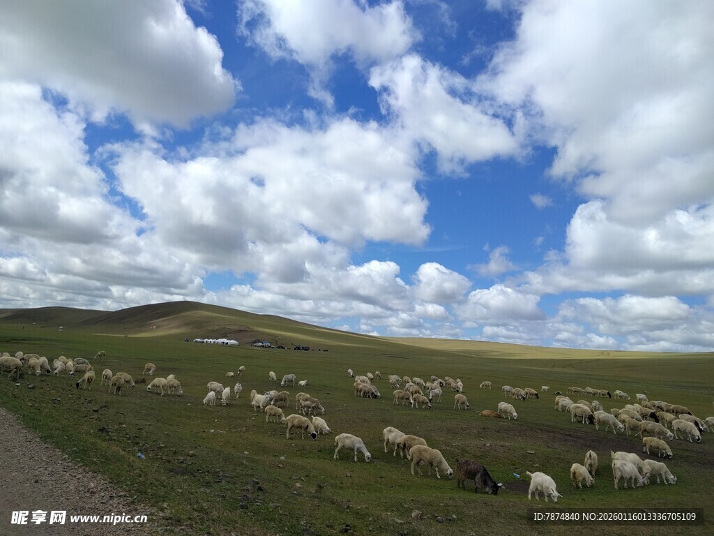 草原羊群漫步蓝天之下