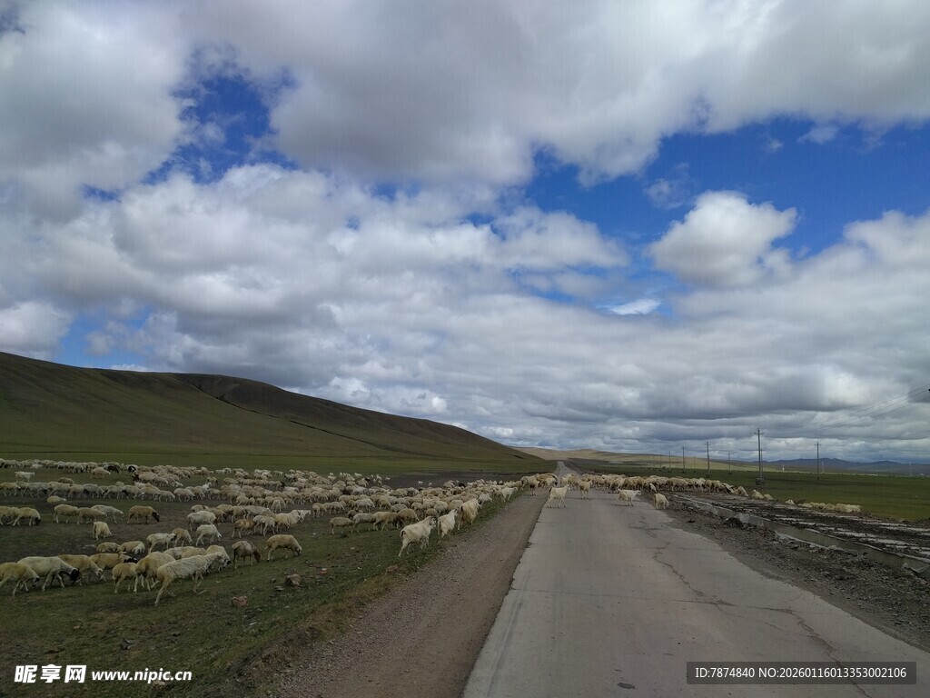 旷野中的蜿蜒公路