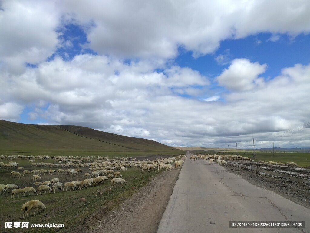 草原公路 通向远方的路