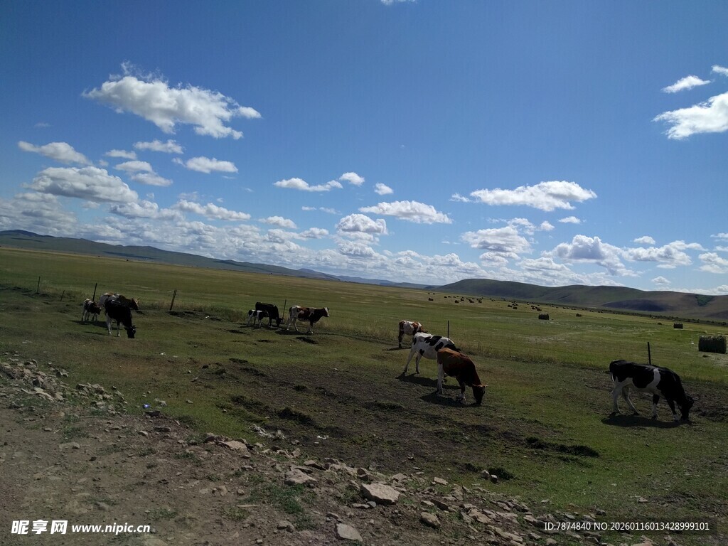 草原牧场景色