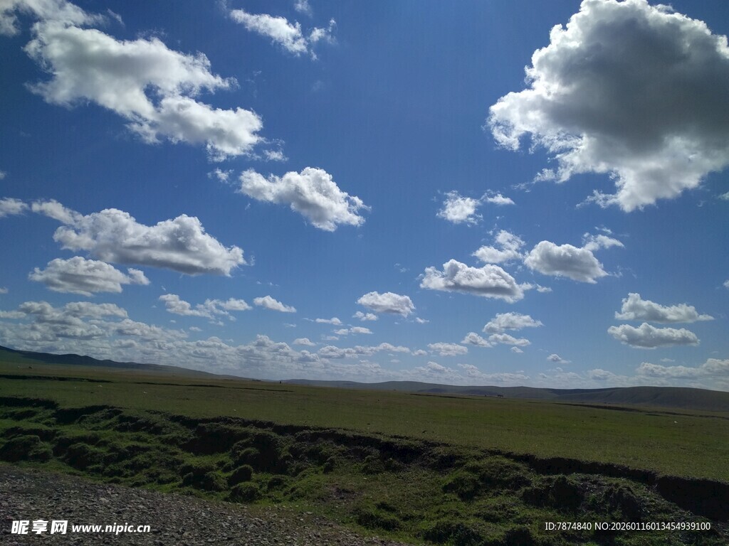 蓝天白云下的广袤原野