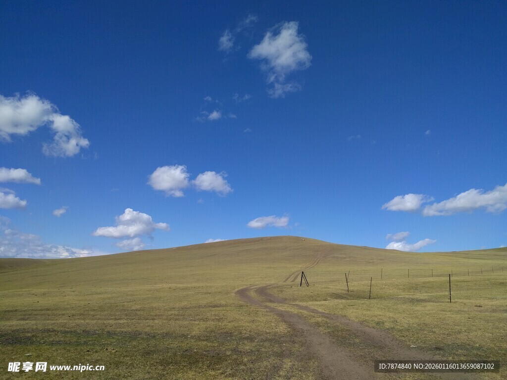 草原旷野中的蜿蜒小路