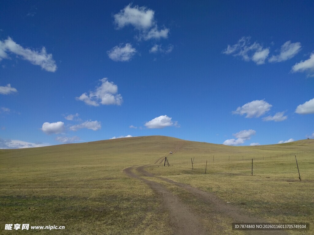 草原土路 蓝天白云美景