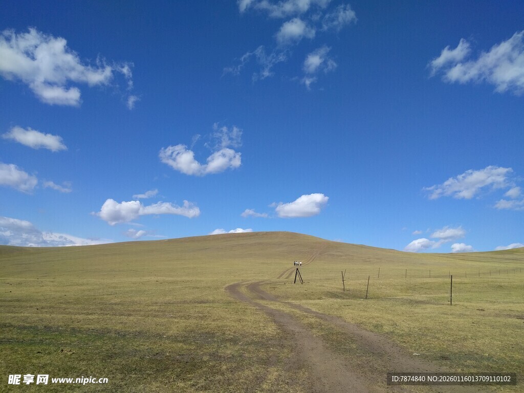 草原旷野中的蜿蜒小路