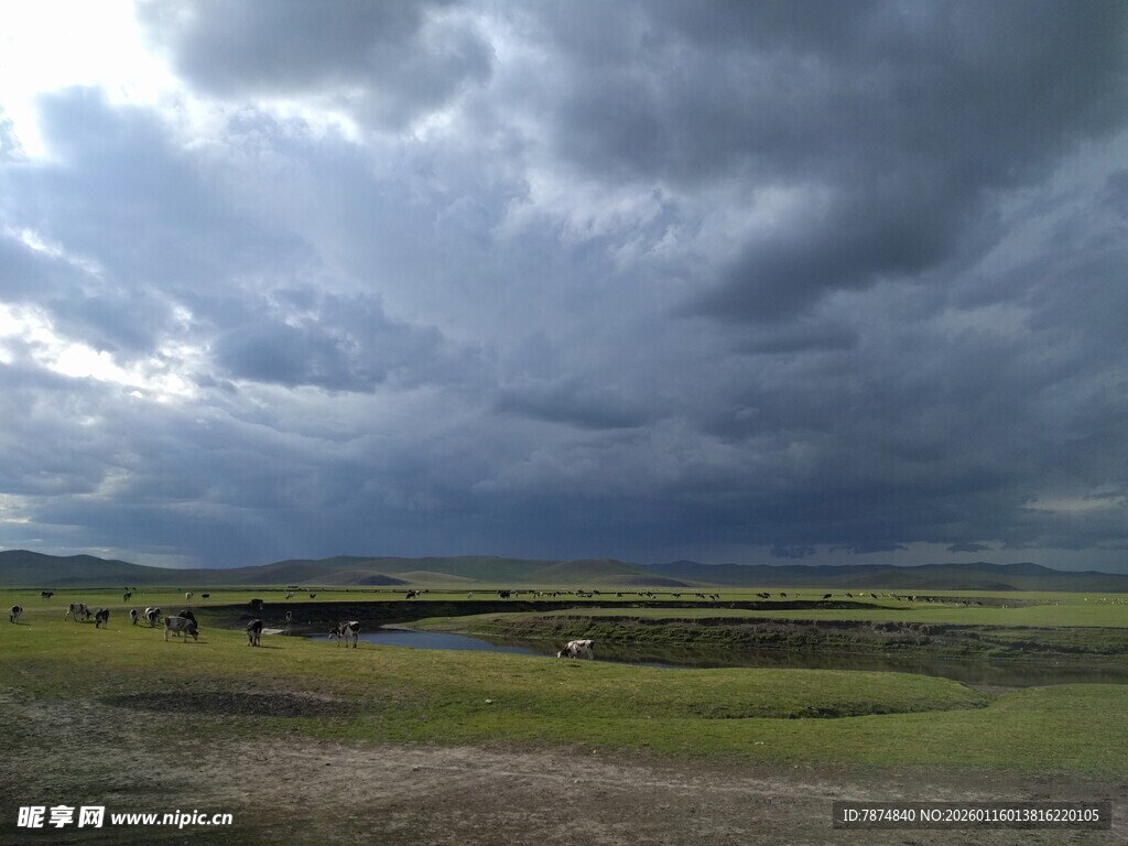 乌云笼罩下的广袤草原