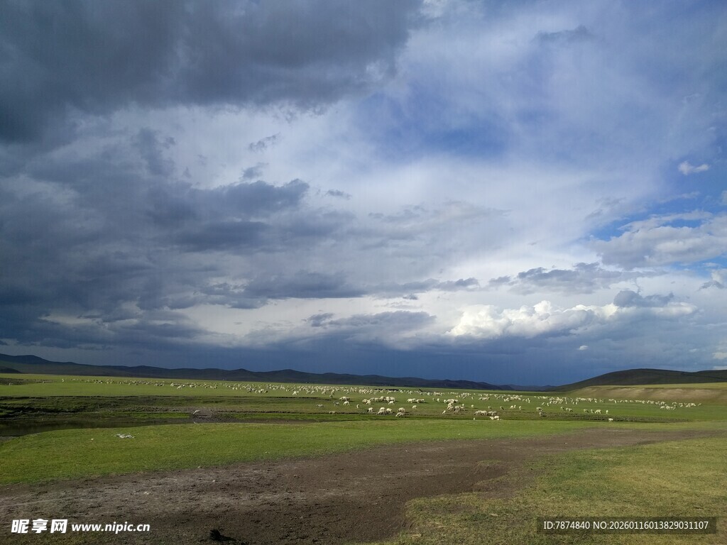 草原上的多云天空景观