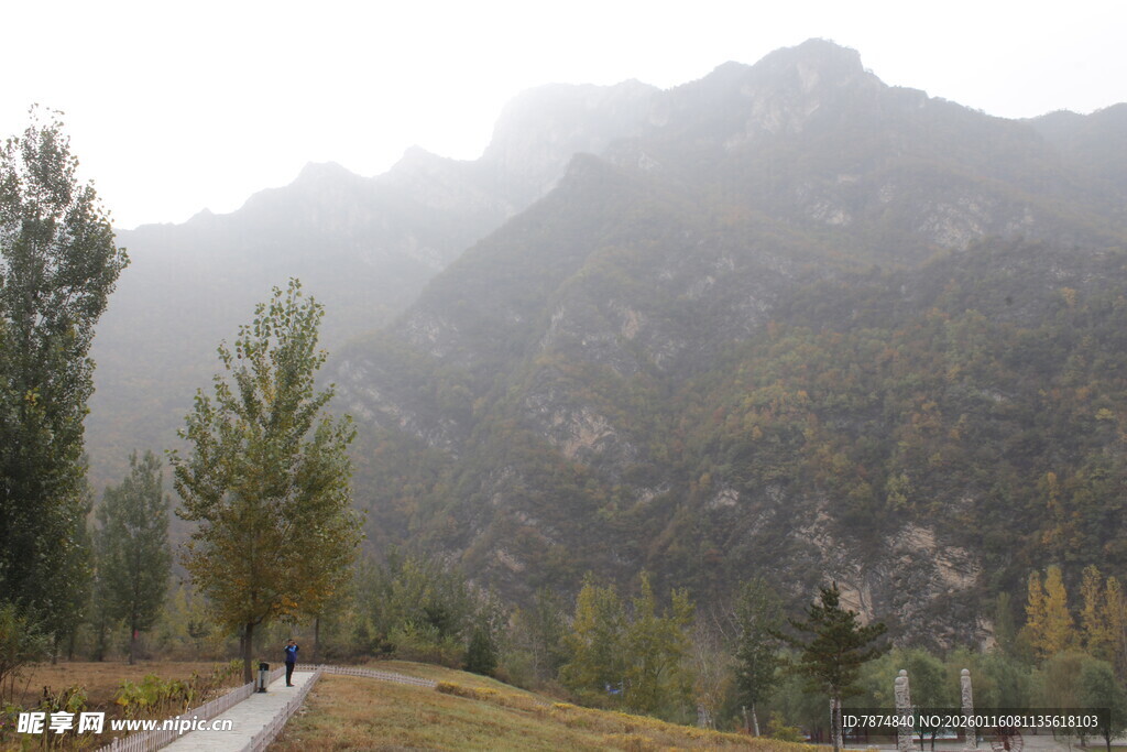 山间雾景中的蜿蜒小路