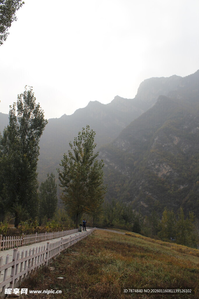 山间公路旁的朦胧山林景色