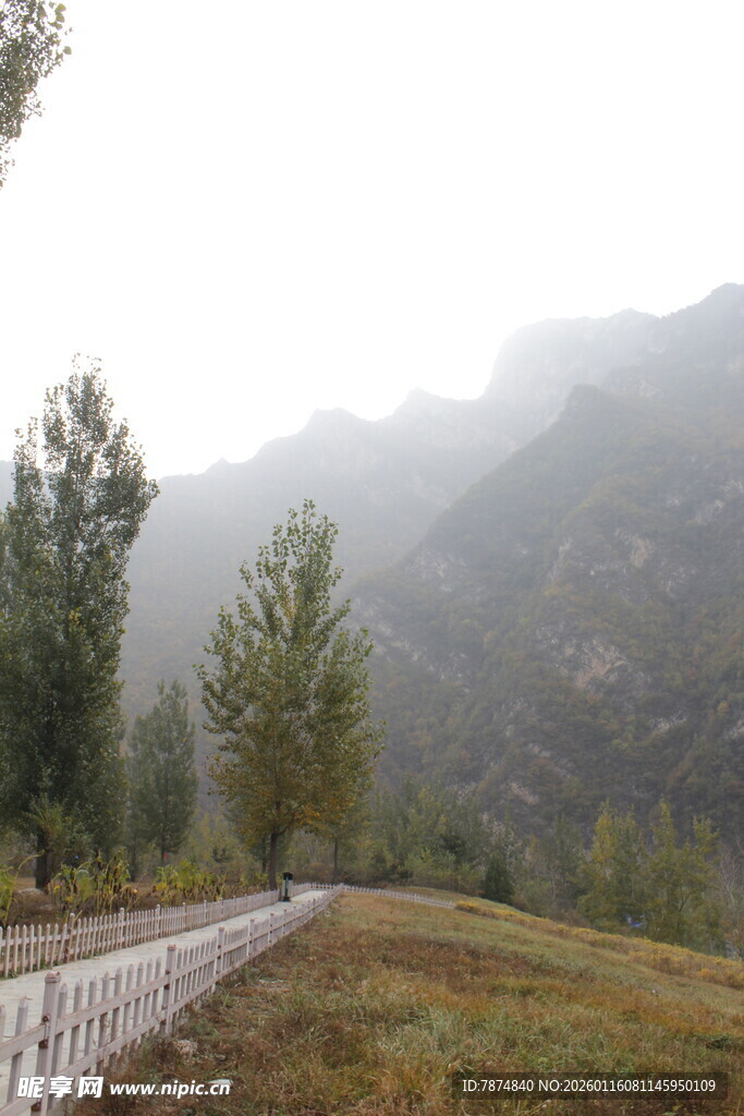 山间雾景 静谧自然小道