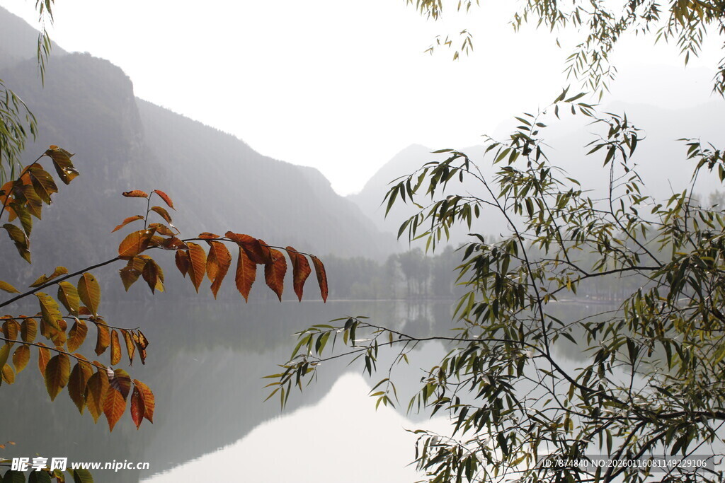 雾中湖畔秋景