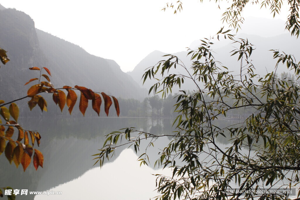 山水间秋景 枝叶映湖光