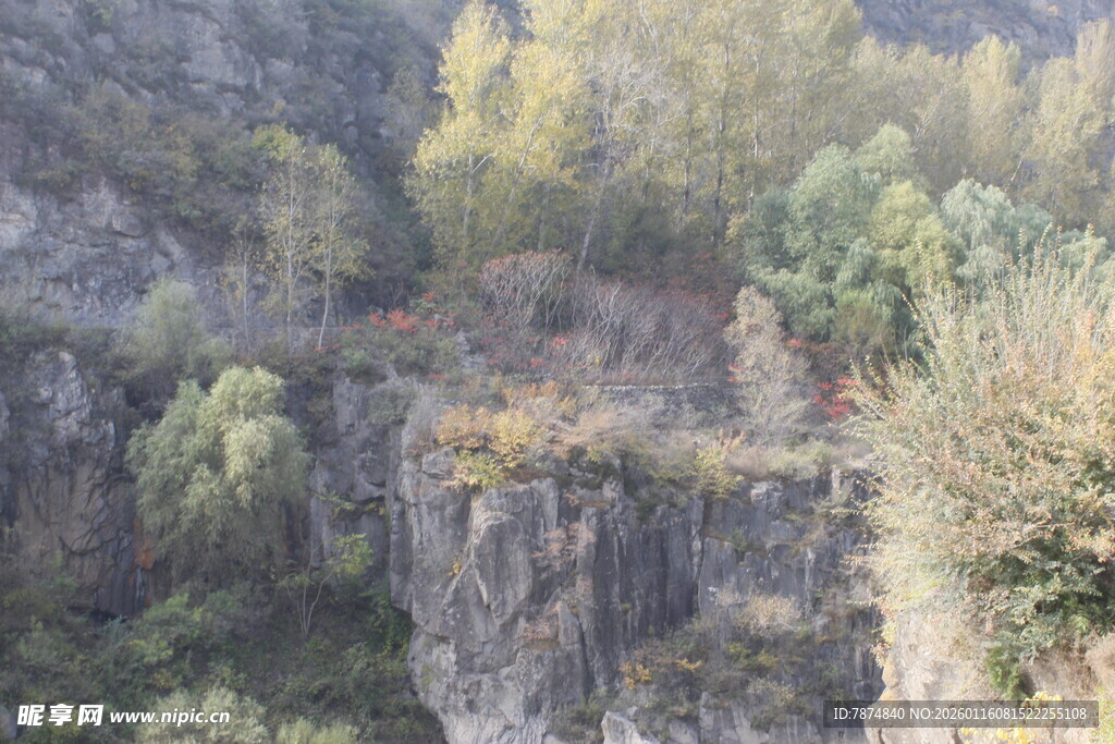 山间峭壁旁的多彩植被