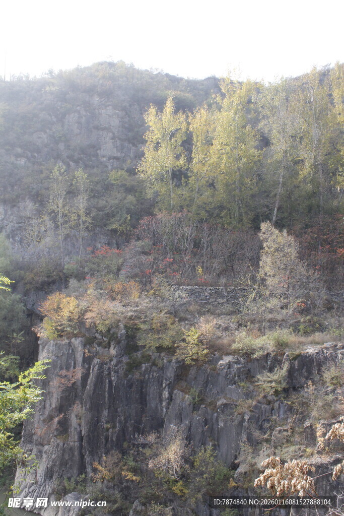 陡峭山崖边的秋日景致