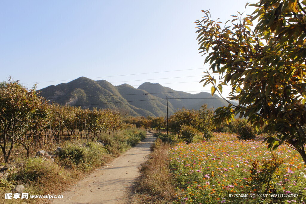 山间小径秋景