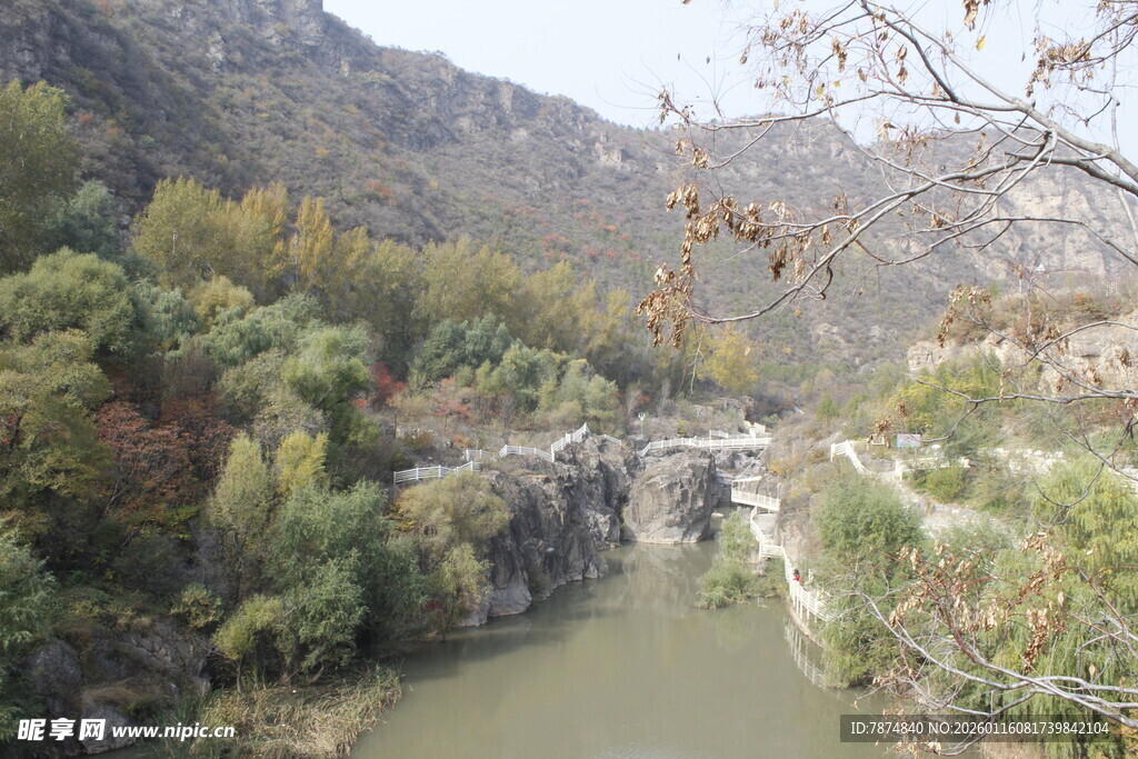 山间河流与繁茂植被景观