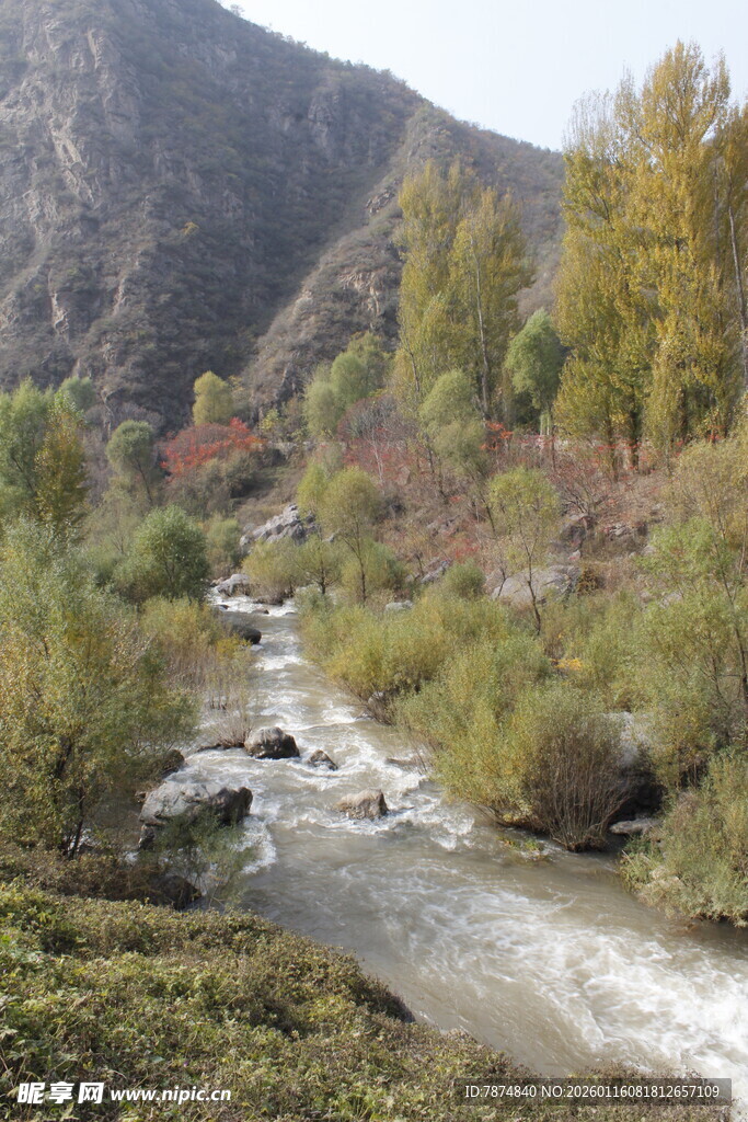 山间溪流 秋色中的自然美景