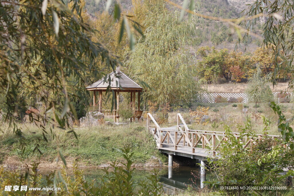 乡村小桥凉亭秋日美景