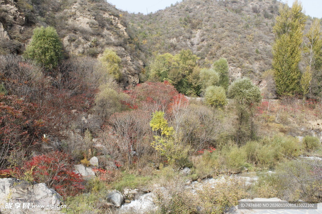 山间多彩植被景观