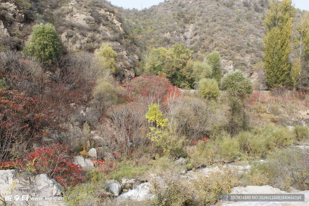 山间多彩植被景观